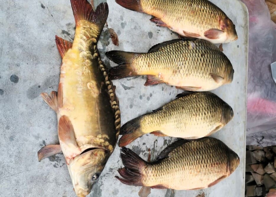 Офисы по адресу 